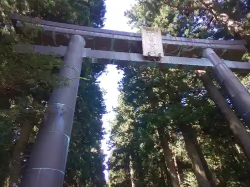 北口本宮冨士浅間神社の鳥居