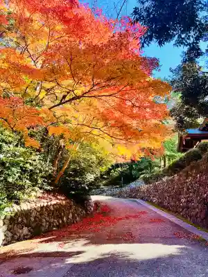 胡宮神社(敏満寺史跡)(滋賀県)