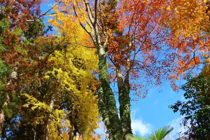 阿久津「田村神社」(郡山市阿久津町)旧社名:伊豆箱根三嶋三社の自然