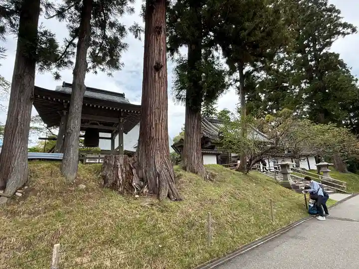 中尊寺金色堂(岩手県)