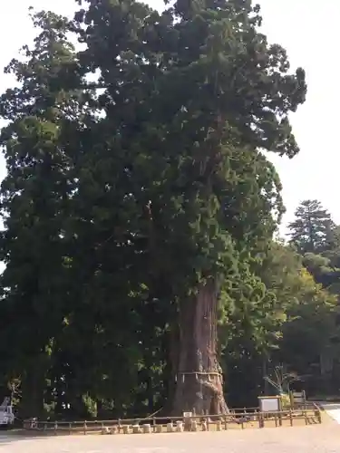 清澄寺の庭園