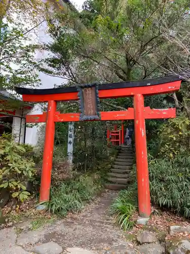 箱根神社の鳥居