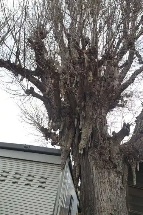 東漸寺(千葉県)