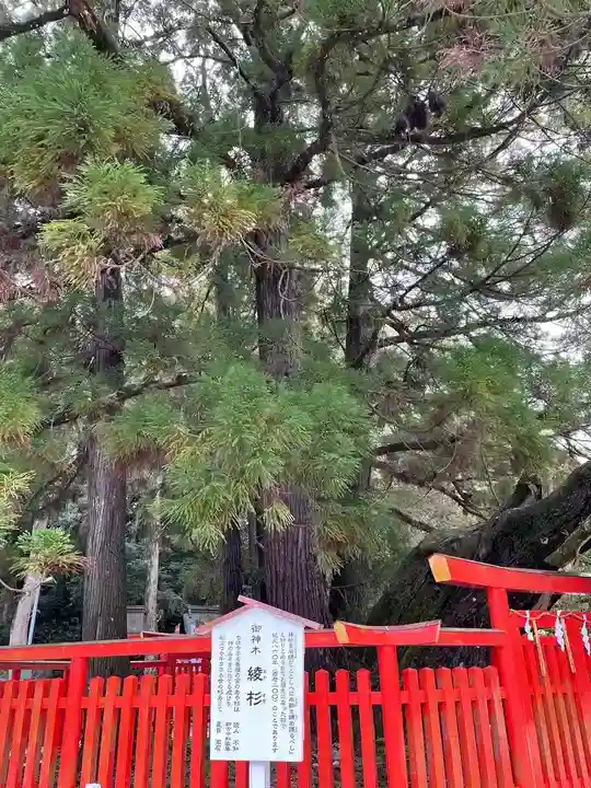香椎宮(福岡県)