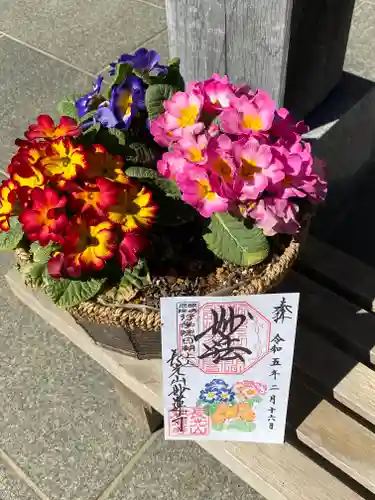 妙蓮寺の御朱印