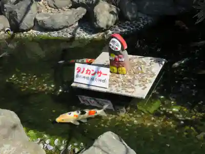 櫻木神社のその他建物