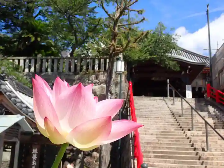 中山寺の自然