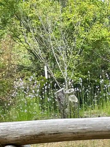 貴船神社(岡山県)