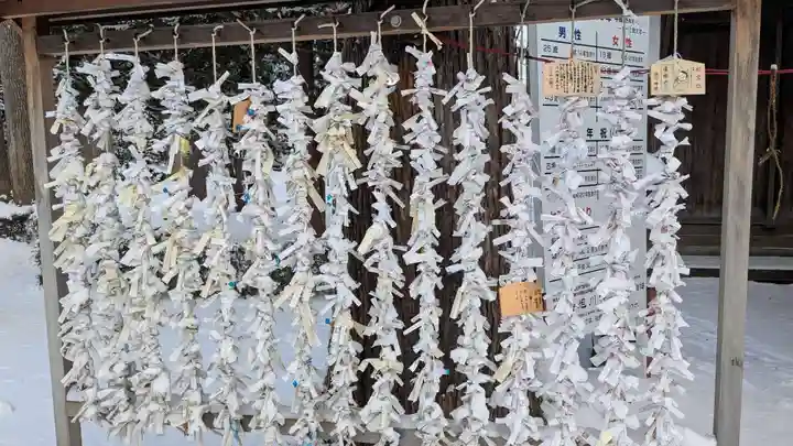 旭川神社のおみくじ
