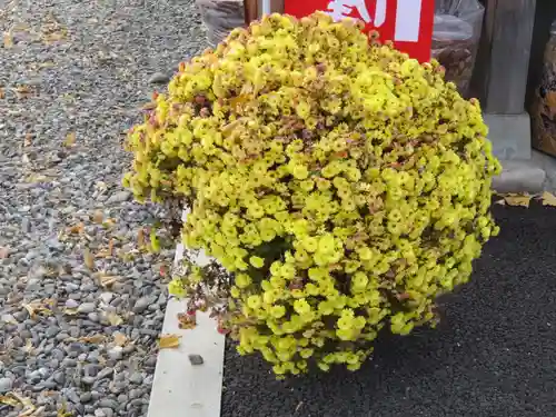 浄土宗善立寺の自然