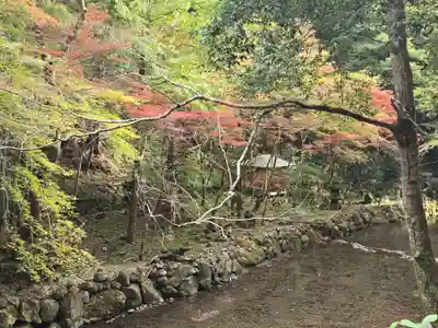 貴船神社奥宮(京都府)
