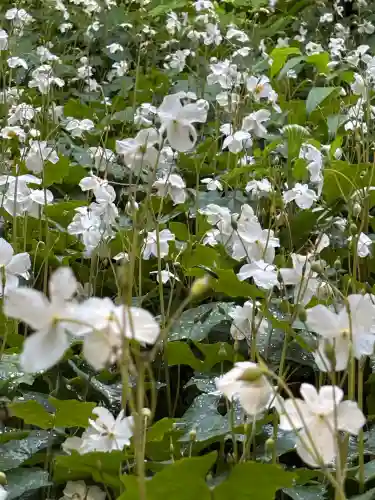 日光大室高龗神社(栃木県)