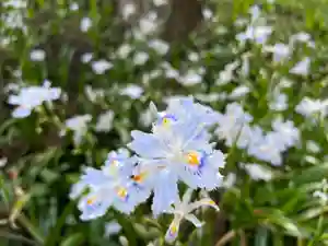 大宮温泉神社(栃木県)(2023年04月23日(日) 08時11分42秒投稿)