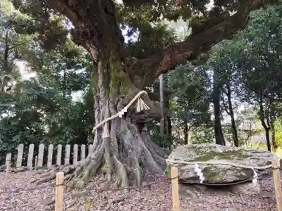 新日吉神宮(京都府)