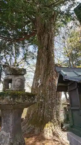 熊野皇大神社の自然