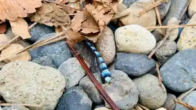 函館八幡宮の動物