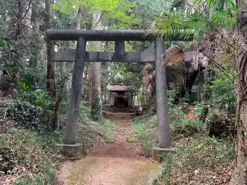 宇迦神社の鳥居