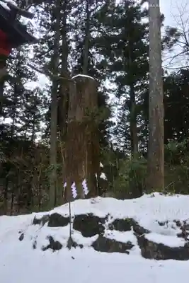 本宮神社（日光二荒山神社別宮）(栃木県)