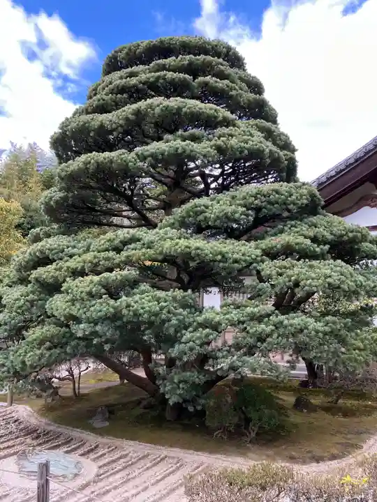 慈照寺(慈照禅寺・銀閣寺)(京都府)