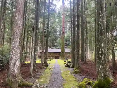大森神社の{uncategorized: "未分類", other: "その他", undefined: "問題あり", building: "その他建物", grave: "お墓", sacred_gate: "鳥居", guardian: "狛犬", statue: "像", buddha: "仏像", history: "歴史", nature: "自然", garden: "庭園", animal: "動物", pagoda: "塔", temizu: "手水舎", mountain_gate: "山門・神門", sanctuary: "本殿・本堂", subordinate: "末社・摂社", art: "芸術", scenery: "景色", jizo: "地蔵", ema: "絵馬", goshuin: "御朱印", omikuji: "おみくじ", items: "授与品その他", amulet: "お守り", goshuincho: "御朱印帳", eats: "食事", festival: "お祭り", votive_dance: "神楽", shichigosan: "七五三参", wedding: "結婚式", experience: "体験その他", initially: "初詣", around: "周辺", anti_infection: "感染症対策"}