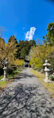 春日神社の{uncategorized: "未分類", other: "その他", undefined: "問題あり", building: "その他建物", grave: "お墓", sacred_gate: "鳥居", guardian: "狛犬", statue: "像", buddha: "仏像", history: "歴史", nature: "自然", garden: "庭園", animal: "動物", pagoda: "塔", temizu: "手水舎", mountain_gate: "山門・神門", sanctuary: "本殿・本堂", subordinate: "末社・摂社", art: "芸術", scenery: "景色", jizo: "地蔵", ema: "絵馬", goshuin: "御朱印", omikuji: "おみくじ", items: "授与品その他", amulet: "お守り", goshuincho: "御朱印帳", eats: "食事", festival: "お祭り", votive_dance: "神楽", shichigosan: "七五三参", wedding: "結婚式", experience: "体験その他", initially: "初詣", around: "周辺", anti_infection: "感染症対策"}