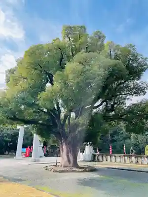 福岡縣護國神社(福岡県)
