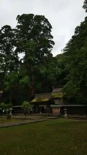 若狭姫神社（若狭彦神社下社）の建物その他