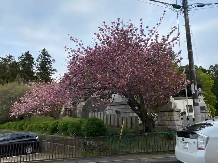 成田山新勝寺の自然