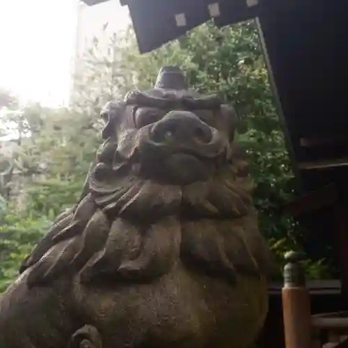 蔵前神社の狛犬