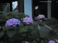 伊勢山皇大神宮(神奈川県)