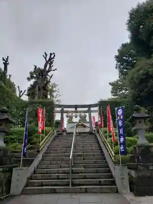 中野沼袋氷川神社の鳥居