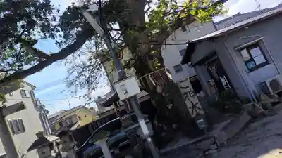 櫟谷七野神社(京都府)