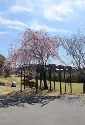 富士椿神社の庭園