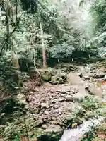 龍鎮神社の自然