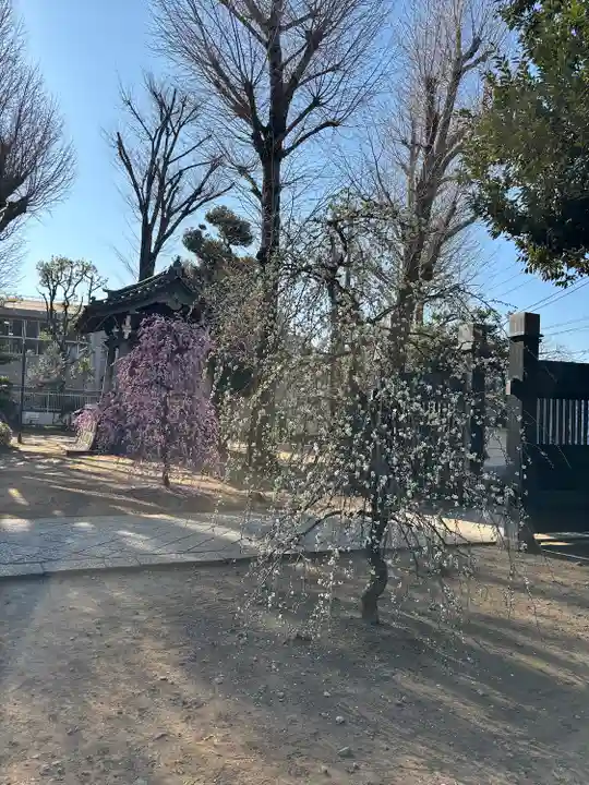 寛永寺(根本中堂)(東京都)