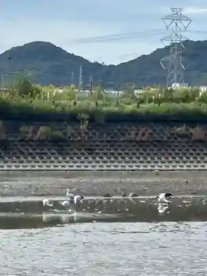 天神社（長尾天満宮）(兵庫県)