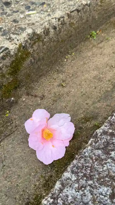 和氣神社(和気神社)(岡山県)