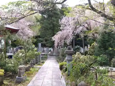 安養寺(福井県)