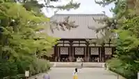 唐招提寺の本殿・本堂