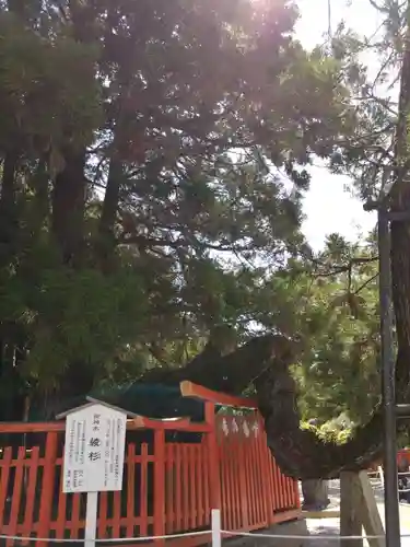 香椎宮(福岡県)