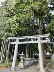 山宮浅間神社の鳥居