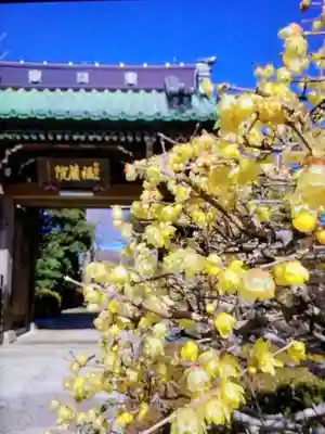 福蔵院(東京都)