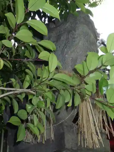 亀之森住吉神社の狛犬