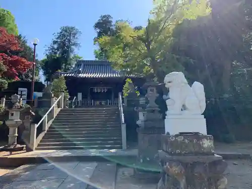 瀧宮神社の狛犬