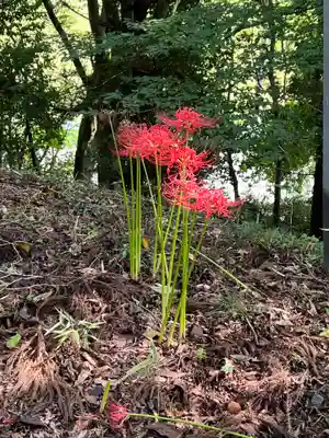 大宮温泉神社(栃木県)