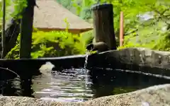 高藏寺の手水