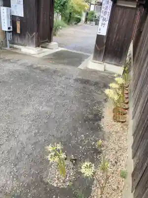 福生山　長徳寺(三重県)