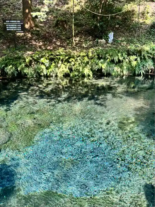 白川吉見神社(熊本県)