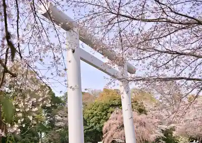 櫻木神社の鳥居