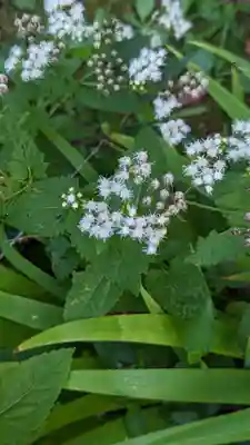 十輪寺(京都府)